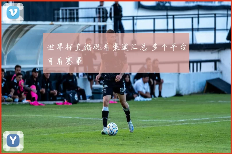 世界杯直播观看渠道汇总 多个平台可看赛事