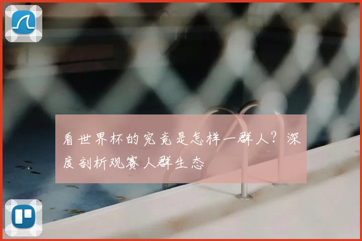 看世界杯的究竟是怎样一群人？深度剖析观赛人群生态