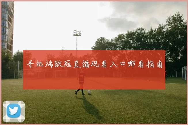 手机端欧冠直播观看入口哪看指南