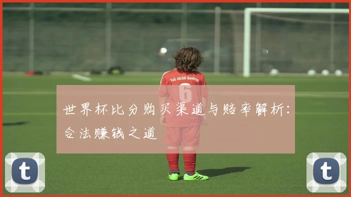 世界杯比分购买渠道与赔率解析：合法赚钱之道