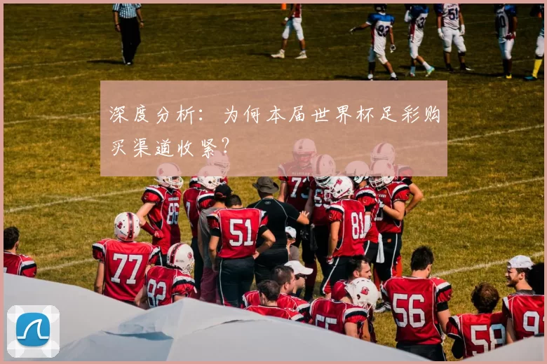 深度分析:为何本届世界杯足彩购买渠道收紧?