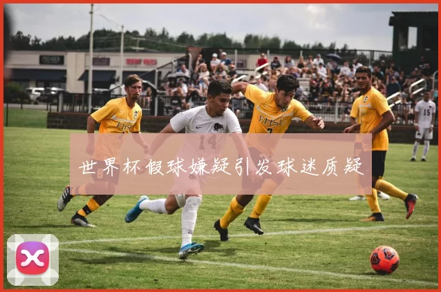 世界杯假球嫌疑引发球迷质疑