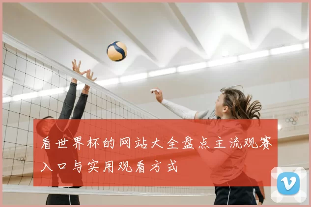 看世界杯的网站大全盘点主流观赛入口与实用观看方式