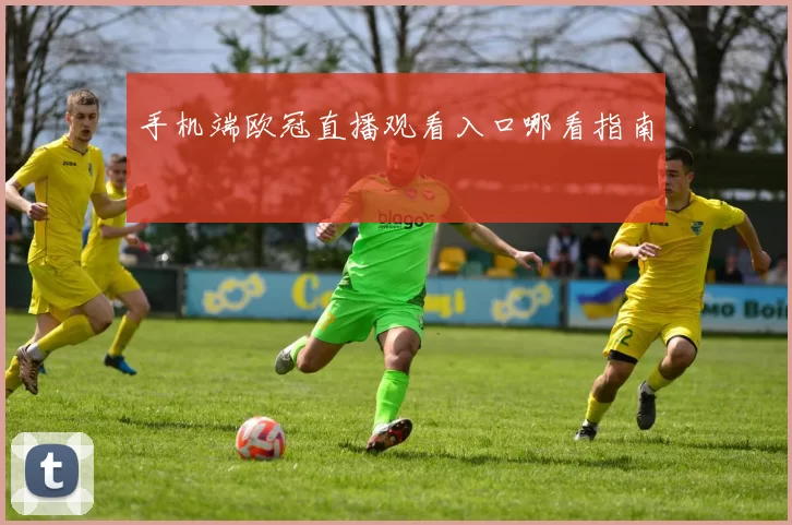手机端欧冠直播观看入口哪看指南