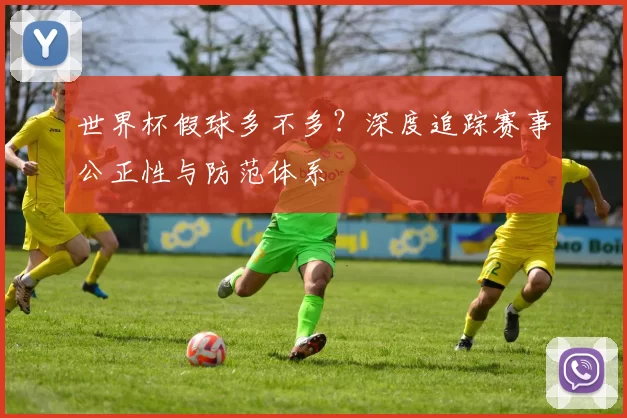 世界杯假球多不多?深度追踪赛事公正性与防范体系