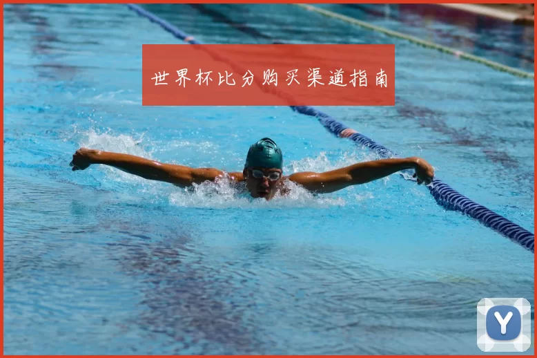 世界杯比分购买渠道指南