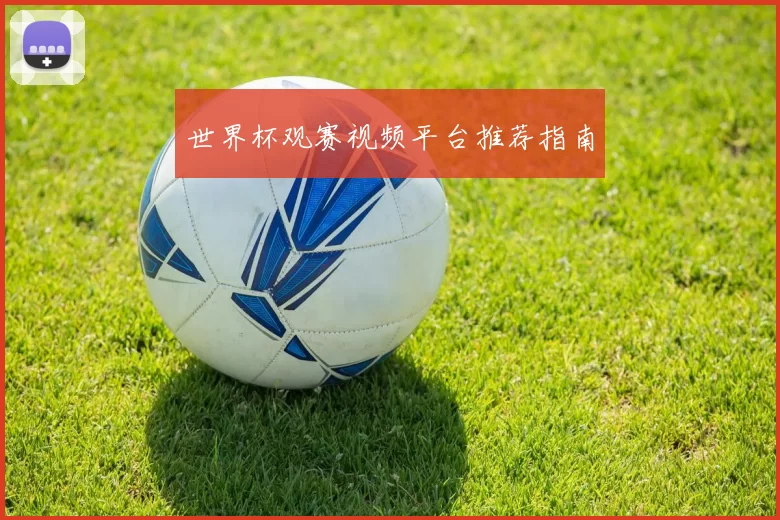 世界杯观赛视频平台推荐指南