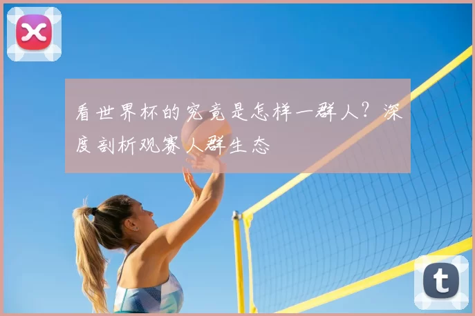 看世界杯的究竟是怎样一群人？深度剖析观赛人群生态